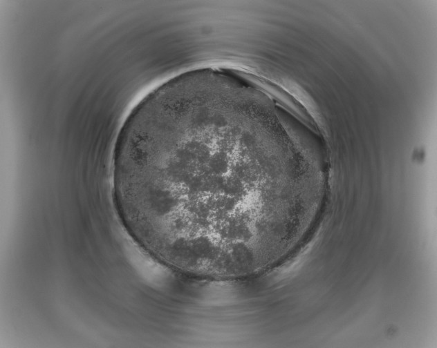 X0000091961028200709131222