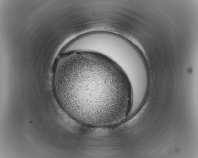 X0000091961029200709131222