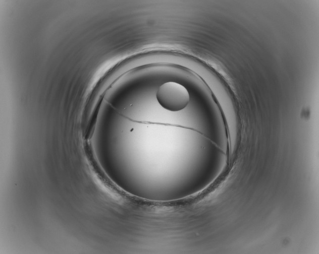 X0000091961030200709131222