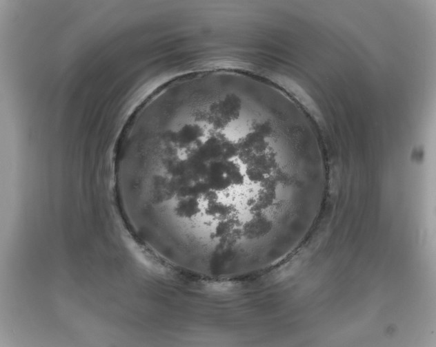 X0000091961031200709131222