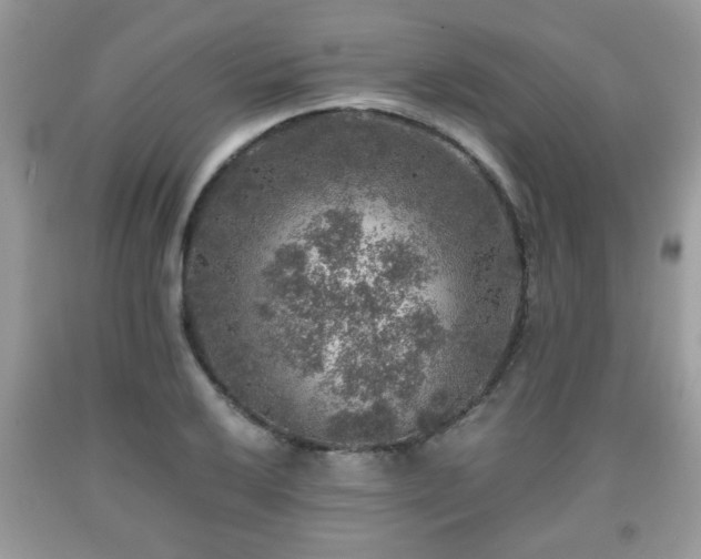 X0000091961032200709131222