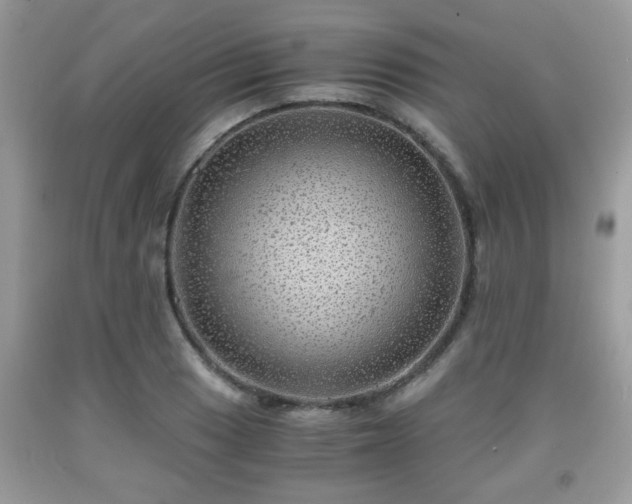 X0000091961033200709131222