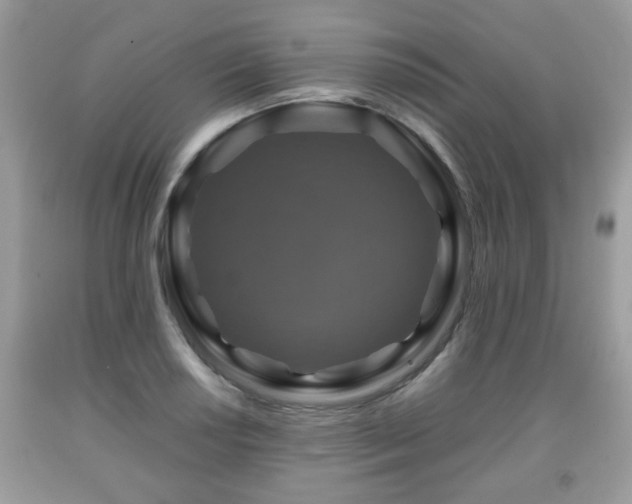 X0000091961034200709131222