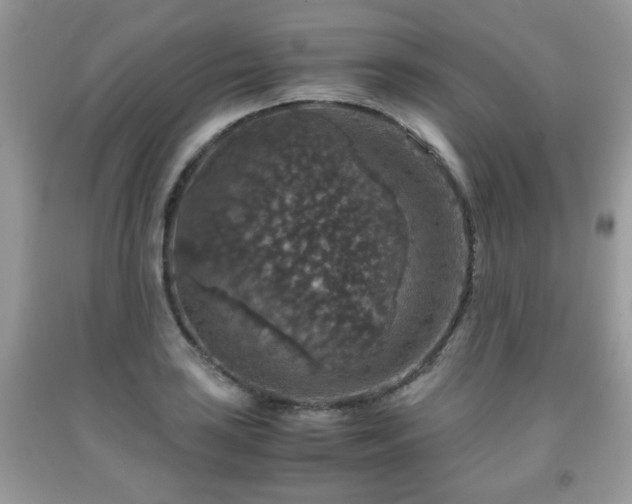 X0000091961035200709131222