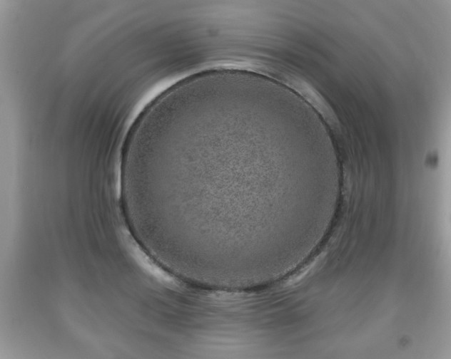 X0000091961036200709131222