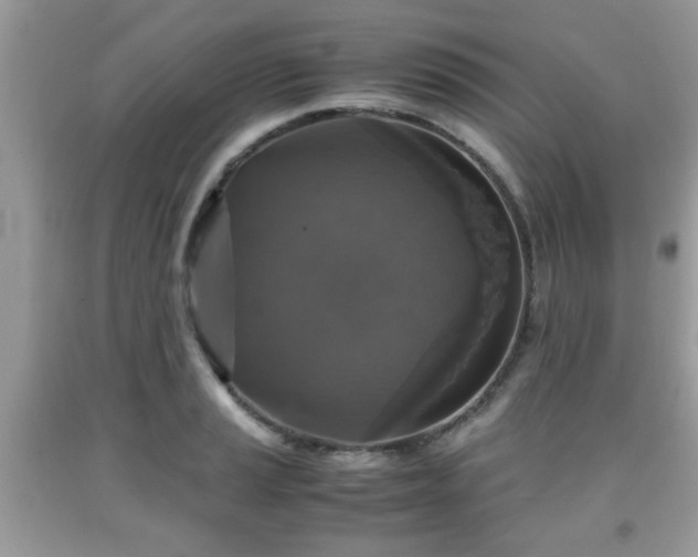 X0000091961037200709131222