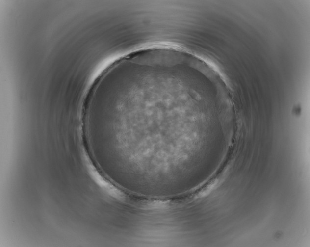 X0000091961038200709131222