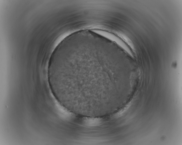 X0000091961039200709131222