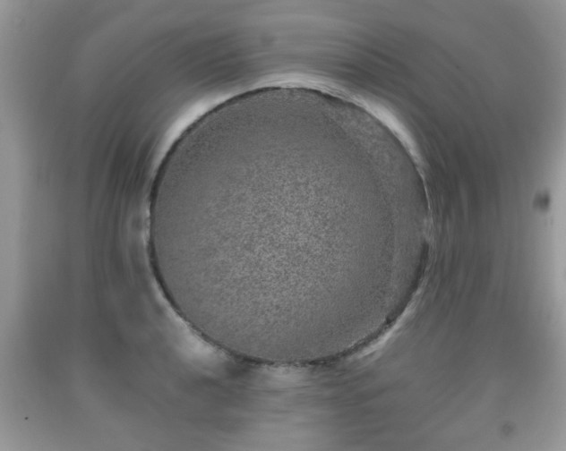 X0000091961040200709131222