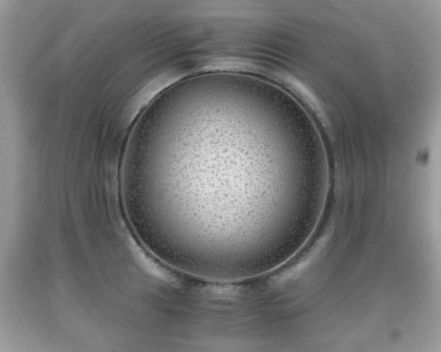 X0000091961041200709131223