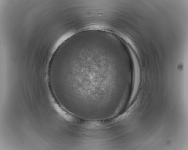 X0000091961042200709131223