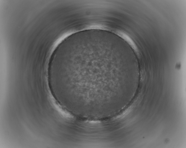 X0000091961043200709131223