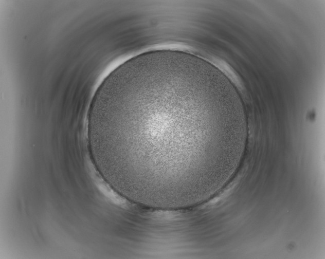 X0000091961044200709131223