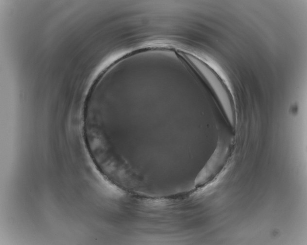 X0000091961045200709131223