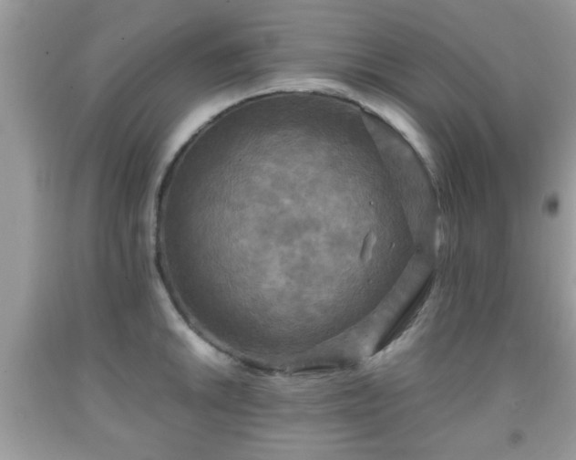 X0000091961046200709131223