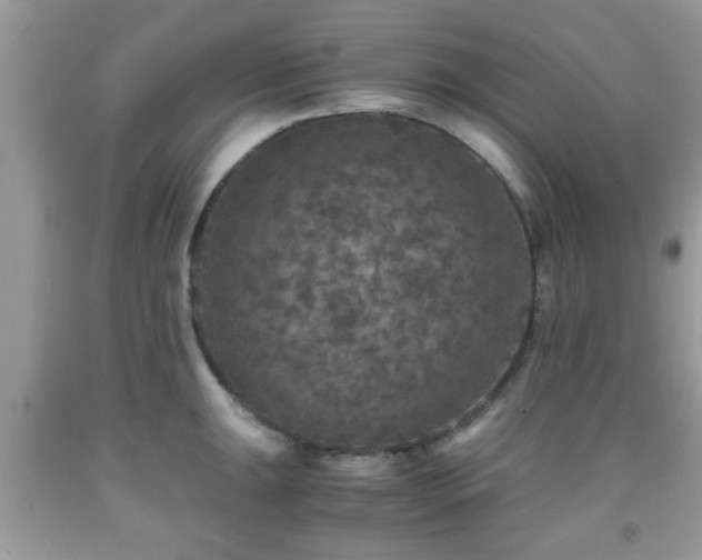 X0000091961047200709131223