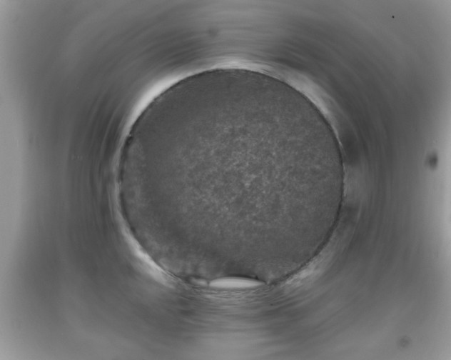 X0000091961048200709131223