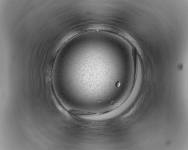 X0000091961049200709131223