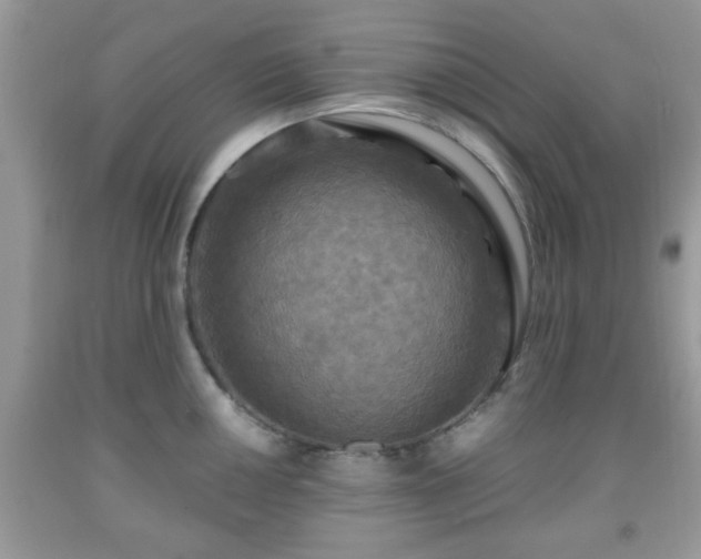 X0000091961050200709131223