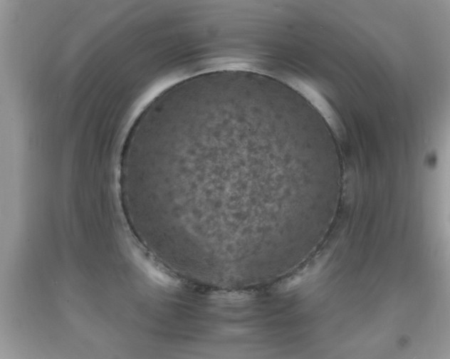 X0000091961051200709131223