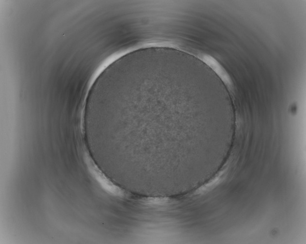 X0000091961052200709131223