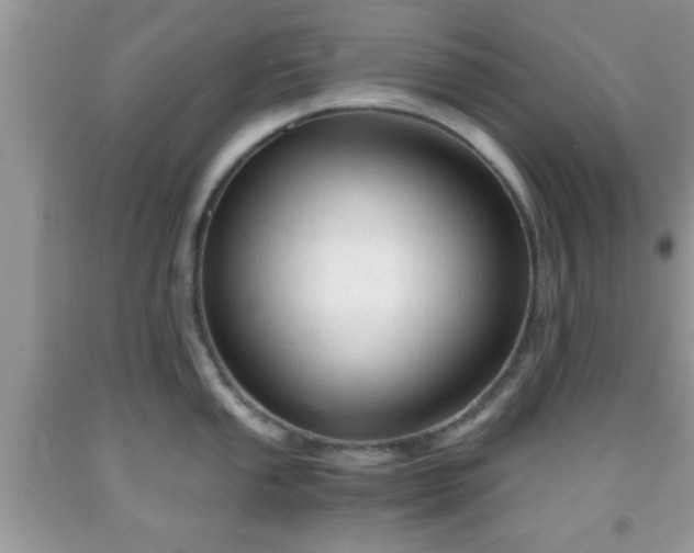 X0000091961053200709131223