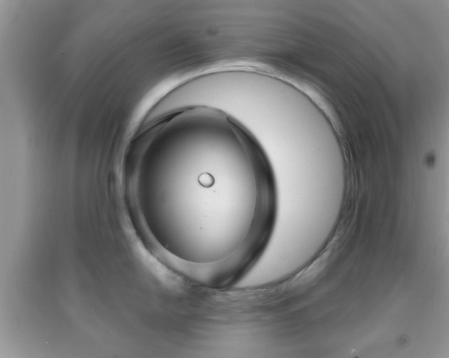 X0000091961054200709131223