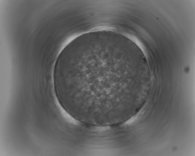 X0000091961055200709131223