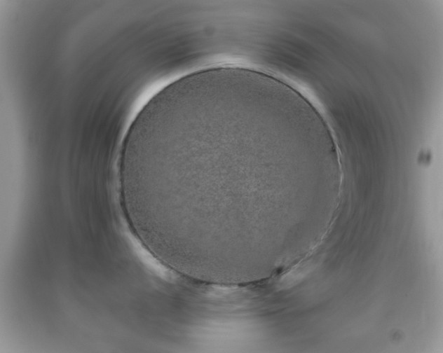 X0000091961056200709131223