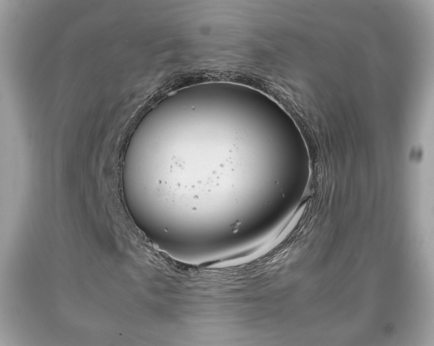 X0000091961057200709131222