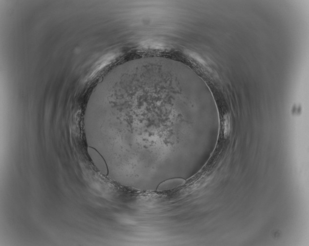 X0000091961059200709131222