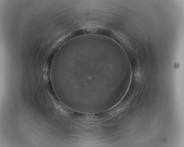 X0000091961060200709131222