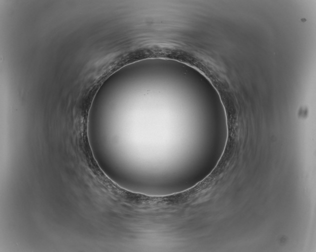 X0000091961061200709131222