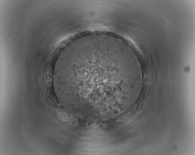 X0000091961063200709131222