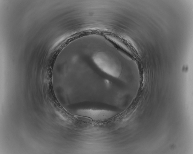 X0000091961064200709131222