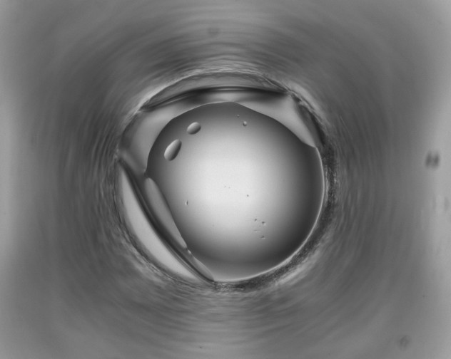 X0000091961065200709131222