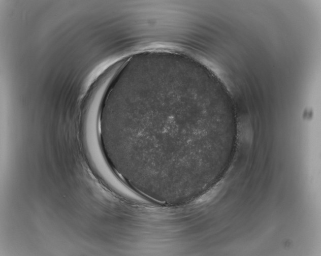 X0000091961066200709131222