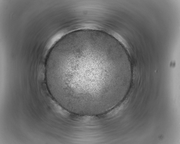 X0000091961067200709131222