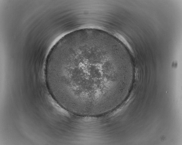 X0000091961068200709131222