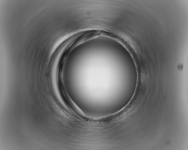 X0000091961069200709131222