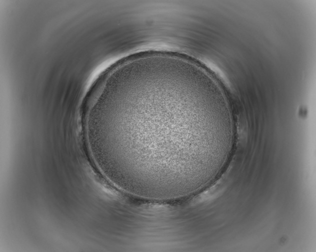 X0000091961070200709131222