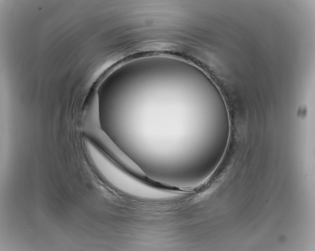 X0000091961073200709131222