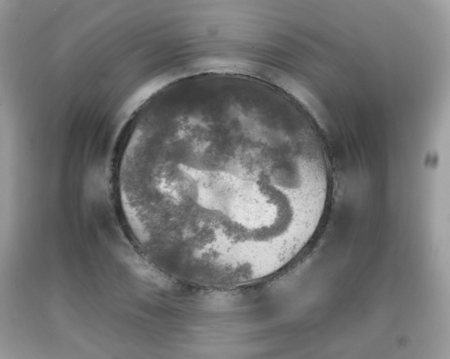 X0000091961074200709131222