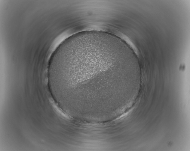 X0000091961075200709131222