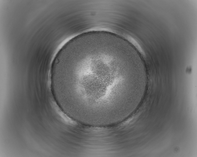 X0000091961076200709131222