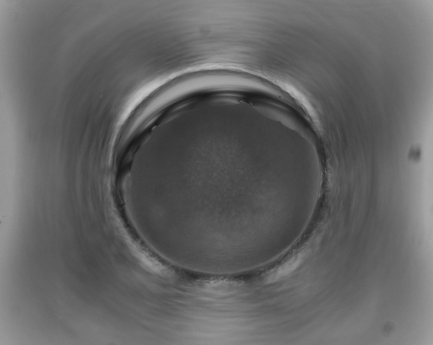 X0000091961077200709131222