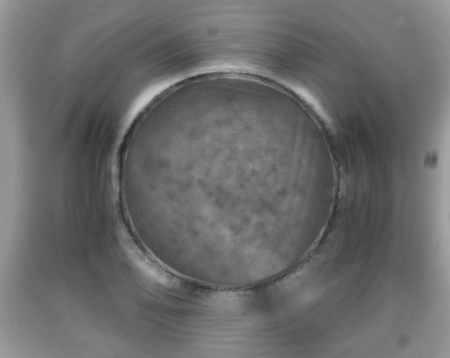 X0000091961078200709131222