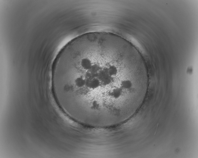 X0000091961079200709131222