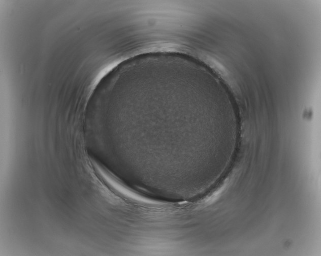 X0000091961081200709131222