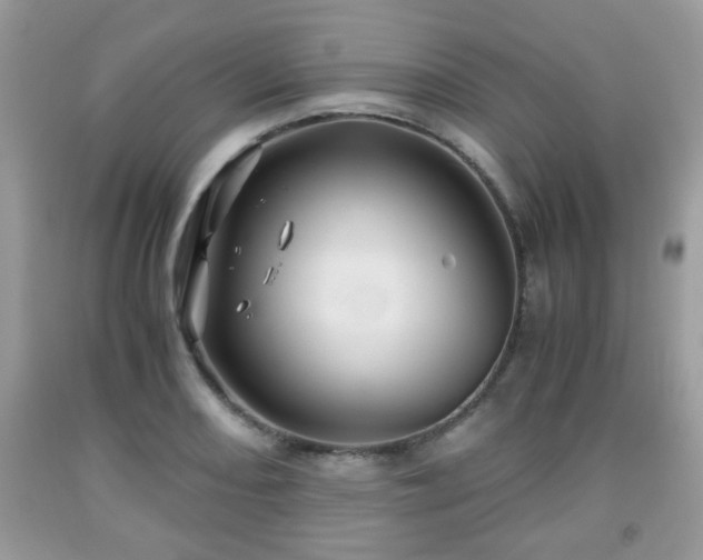 X0000091961082200709131222